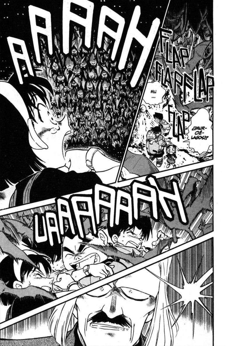 Detective Conan Capitulo 252: Los famosos detectives de gran corazón página 14