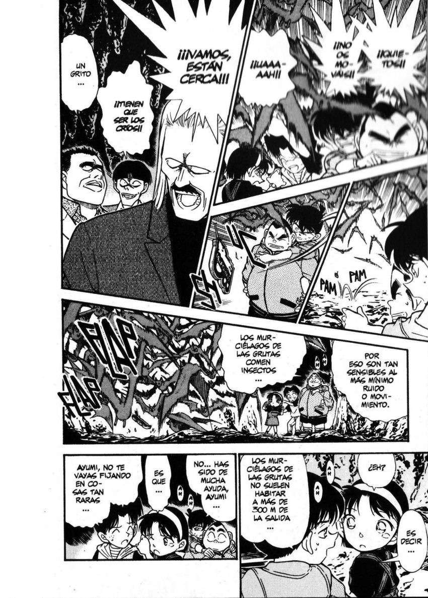 Detective Conan Capitulo 252: Los famosos detectives de gran corazón página 15
