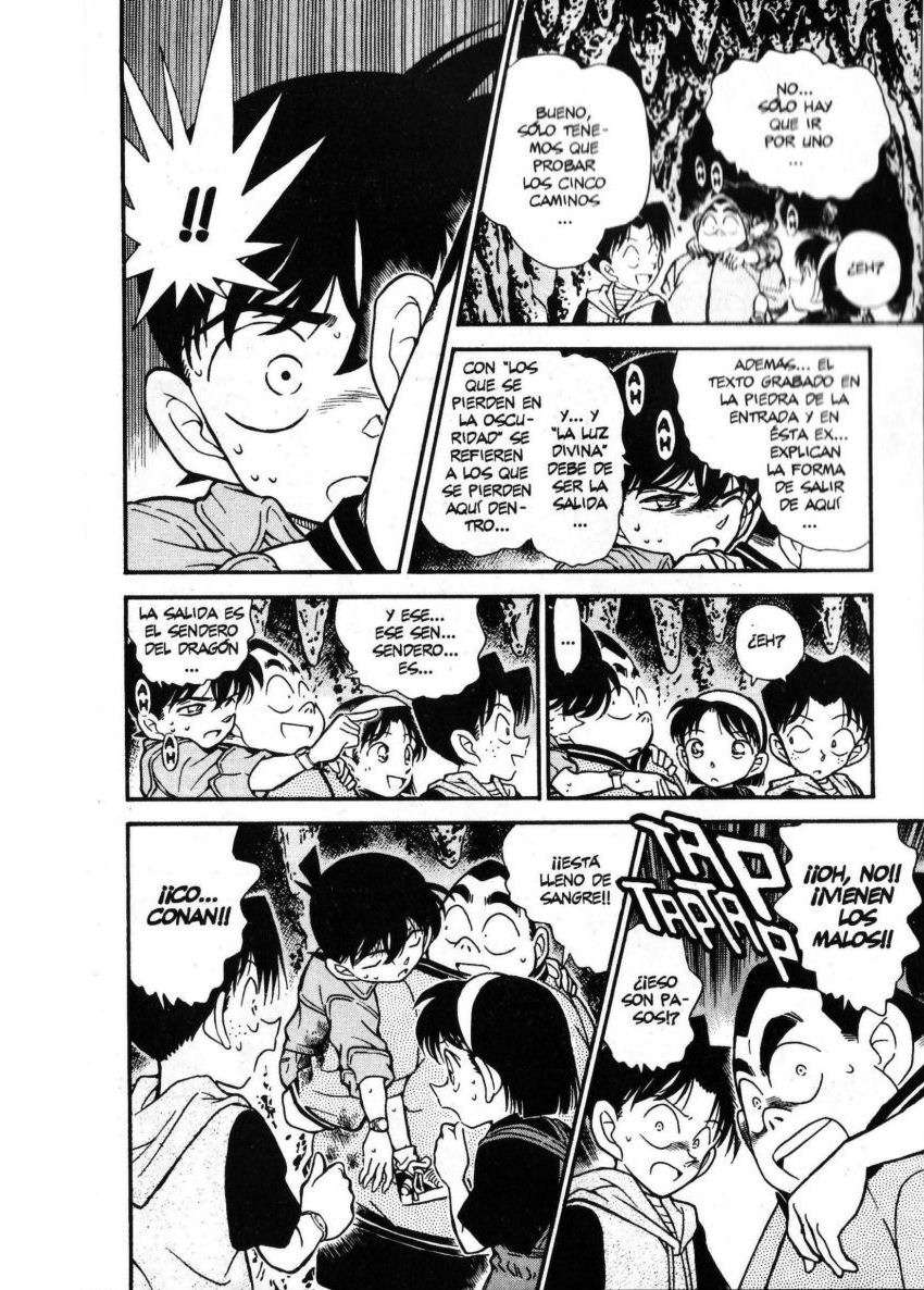 Detective Conan Capitulo 252: Los famosos detectives de gran corazón página 17