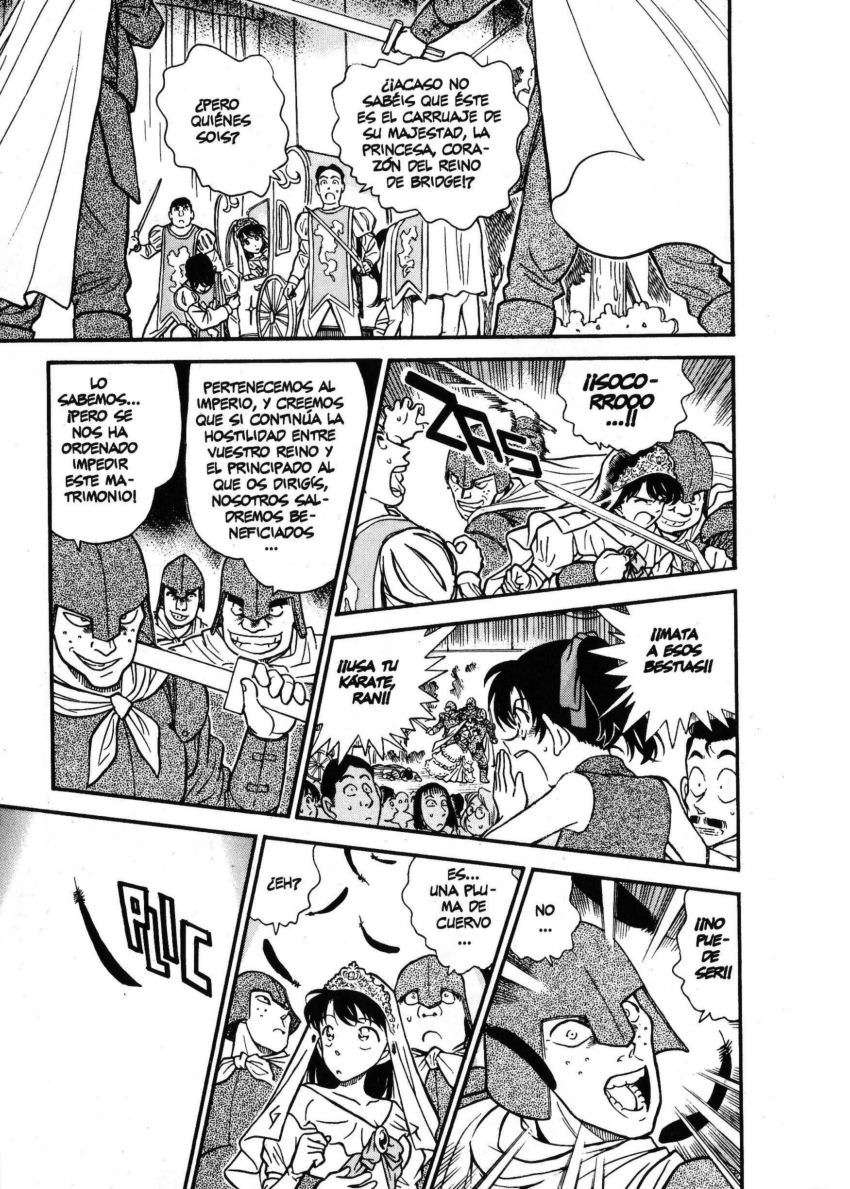 Detective Conan Capitulo 255: Un inesperado intruso página 12