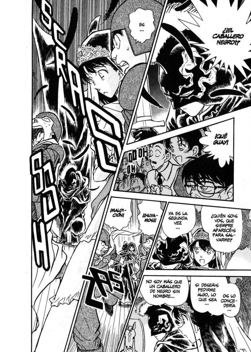 Detective Conan Capitulo 255: Un inesperado intruso página 13