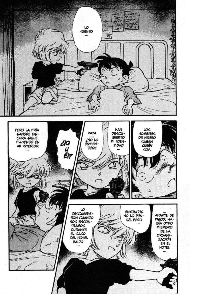 Detective Conan Capitulo 255: Un inesperado intruso página 2