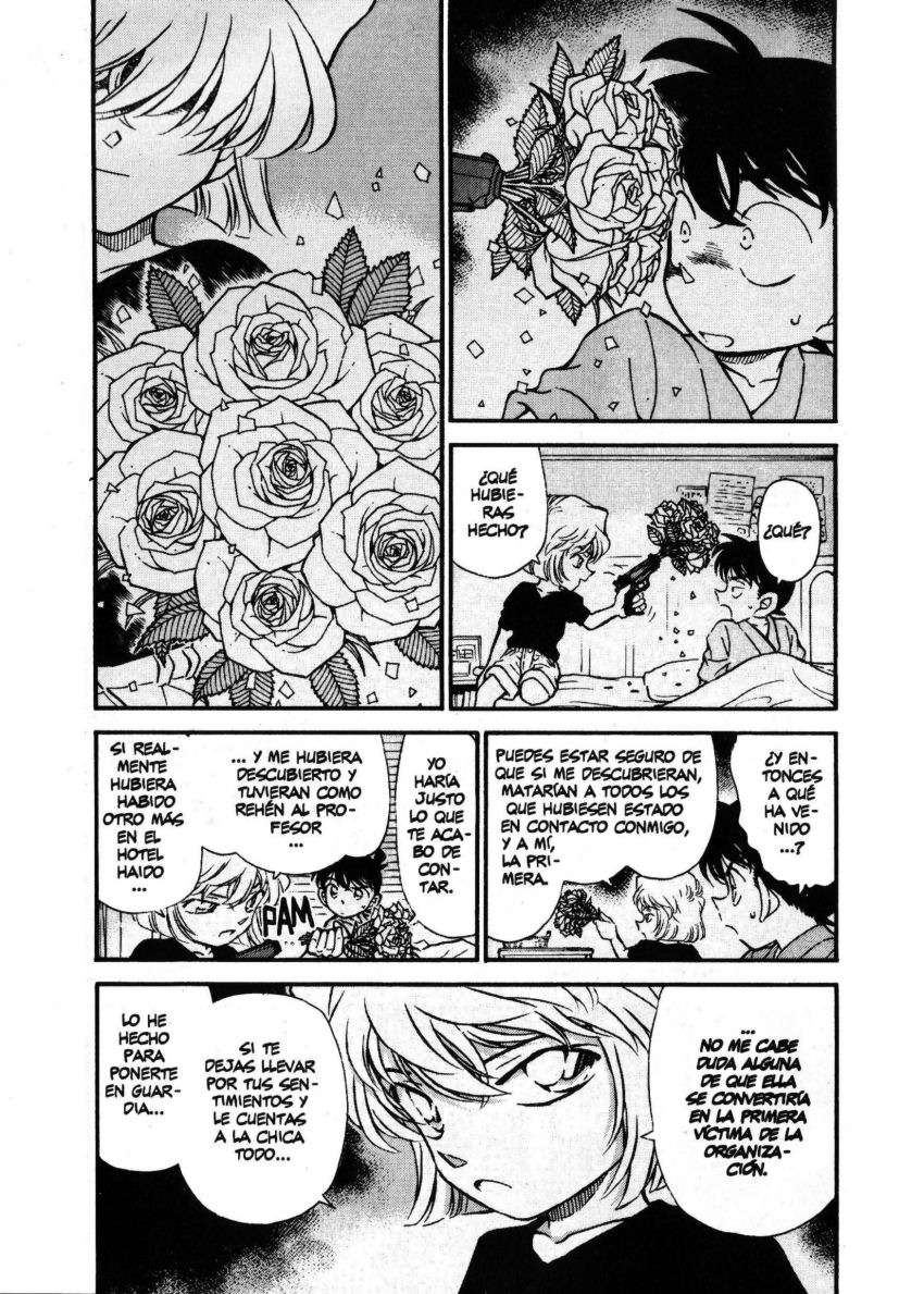 Detective Conan Capitulo 255: Un inesperado intruso página 4