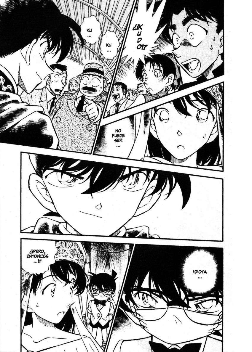 Detective Conan Capitulo 256: La verdad encubierta página 17