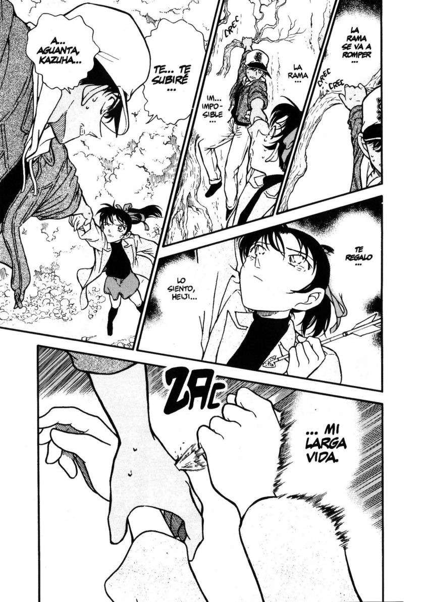 Detective Conan Capitulo 282: La última flecha página 16