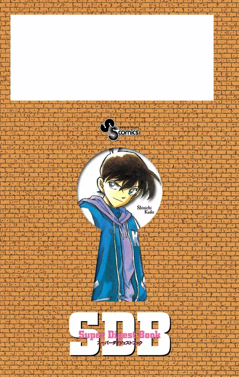 Detective Conan Capitulo 306.5: SDB 30+ página 12