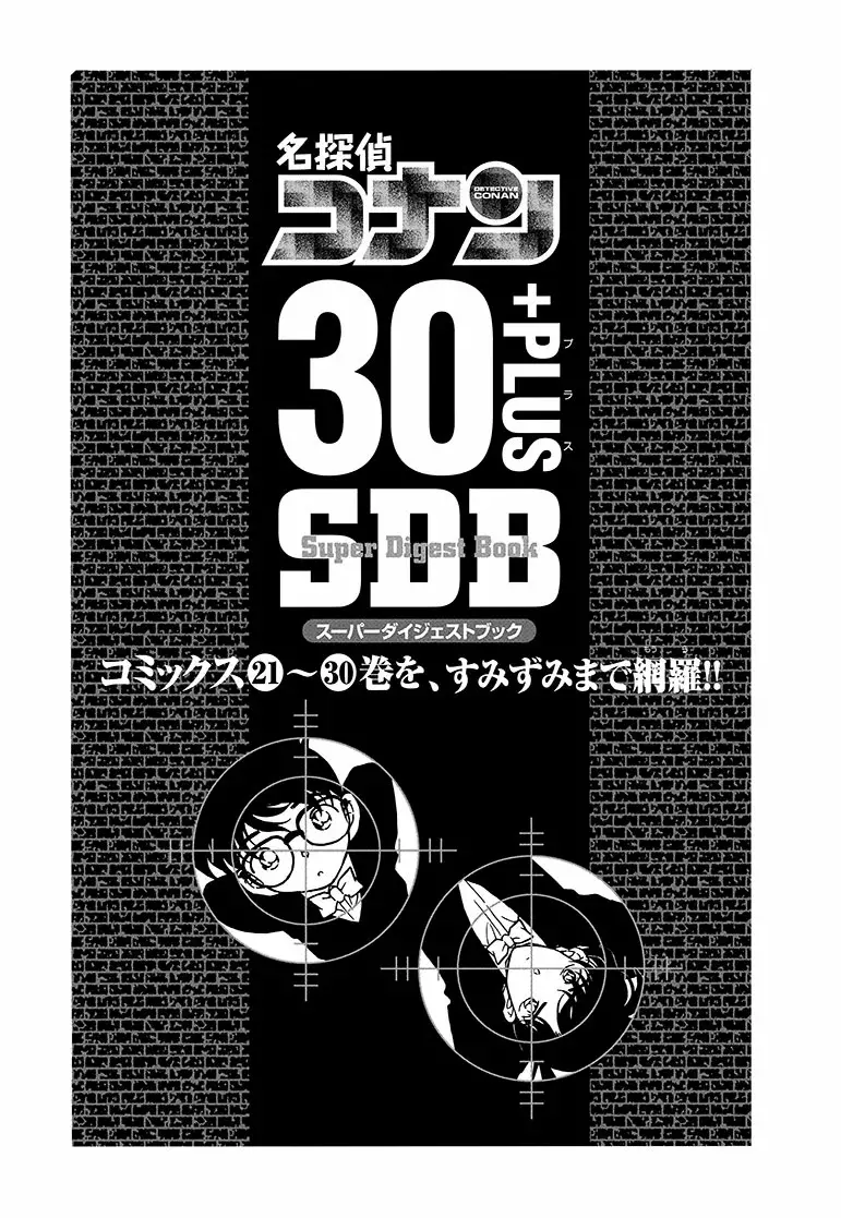 Detective Conan Capitulo 306.5: SDB 30+ página 5