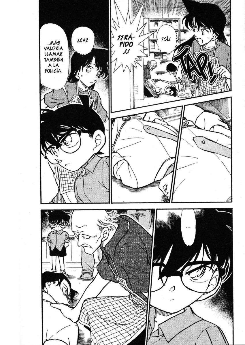 Detective Conan Capitulo 306: Red de búsqueda de pistas página 3