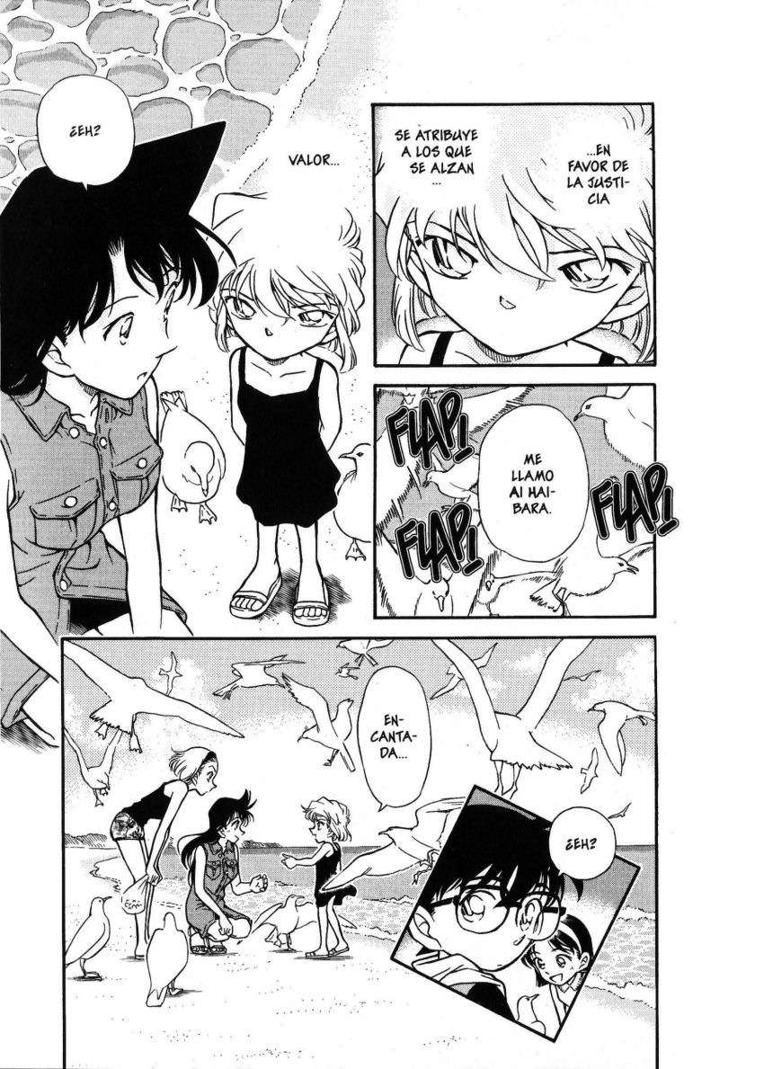 Detective Conan Capitulo 313: Una valiente decisión página 18