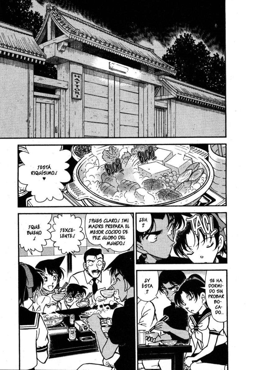 Detective Conan Capitulo 317: El castillo de los vasallos página 2