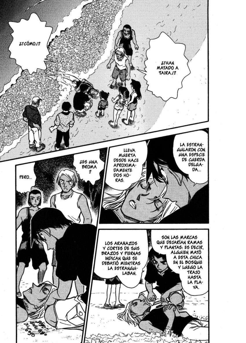 Detective Conan Capitulo 362: Un peligroso visitante página 2