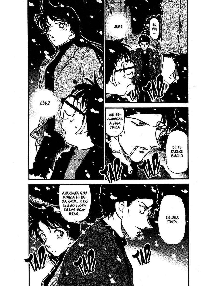 Detective Conan Capitulo 380: Nieve blanca, negra sombra página 2