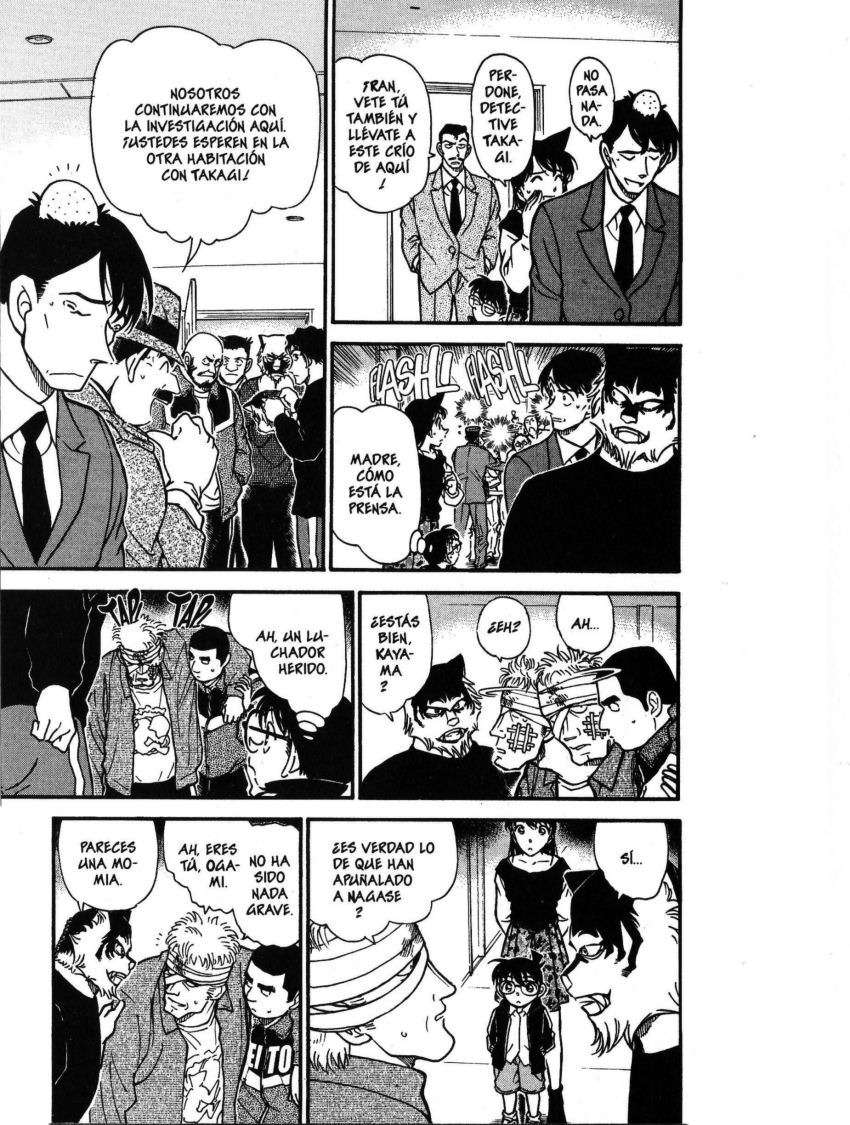 Detective Conan Capitulo 388: La sombra de los lobos página 14