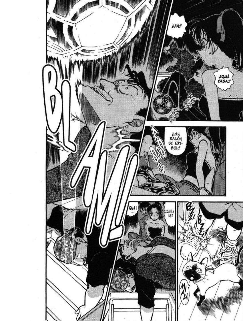 Detective Conan Capitulo 392: Heiji Hattori: ¡A vida o muerte! (3) página 15