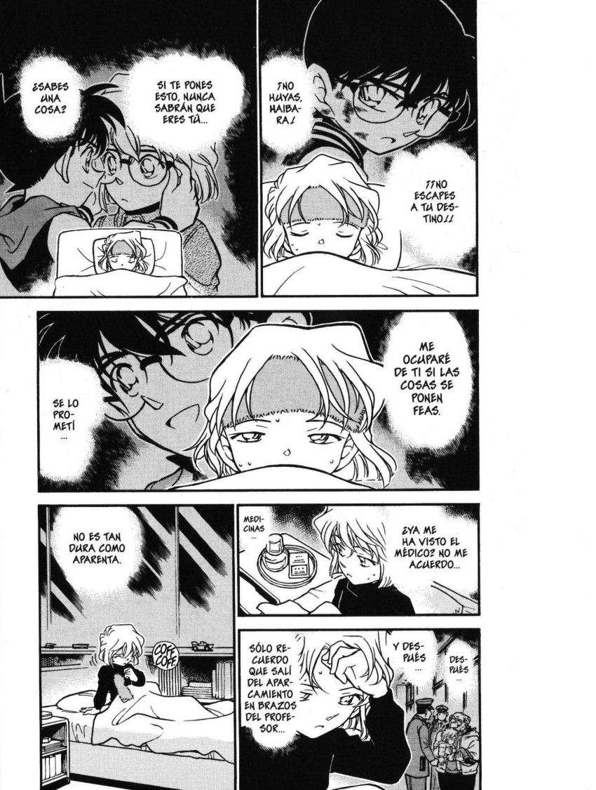 Detective Conan Capitulo 423: El enigma que dejó el visitante página 2