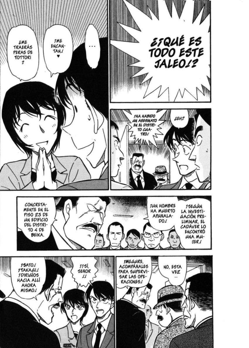 Detective Conan Capitulo 450: Del cielo al infierno página 12