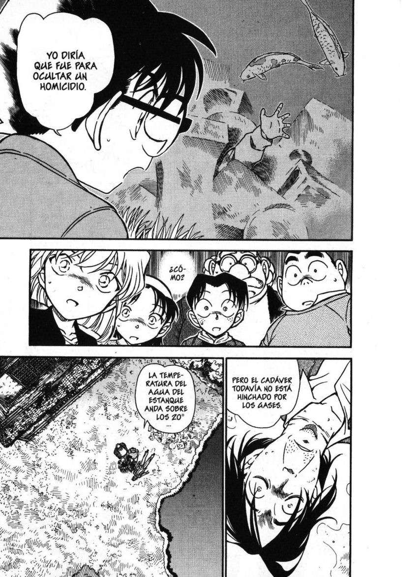 Detective Conan Capitulo 475: Secretos sellados página 12