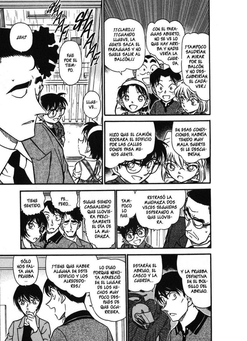 Detective Conan Capitulo 486: Del cielo a la tierra página 14