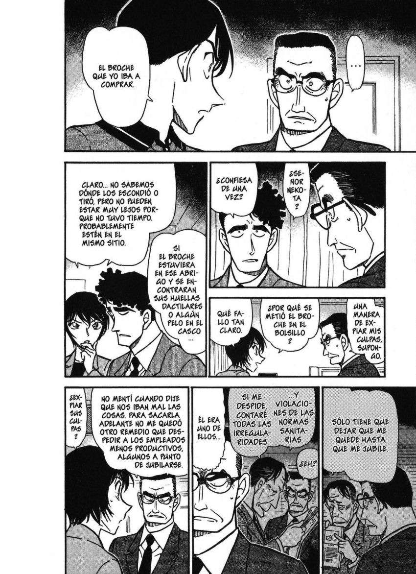 Detective Conan Capitulo 486: Del cielo a la tierra página 15
