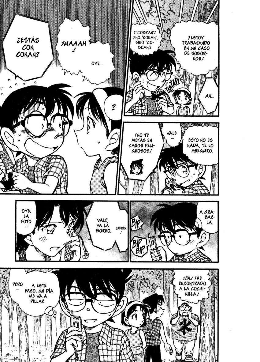 Detective Conan Capitulo 491: El código del verano página 12