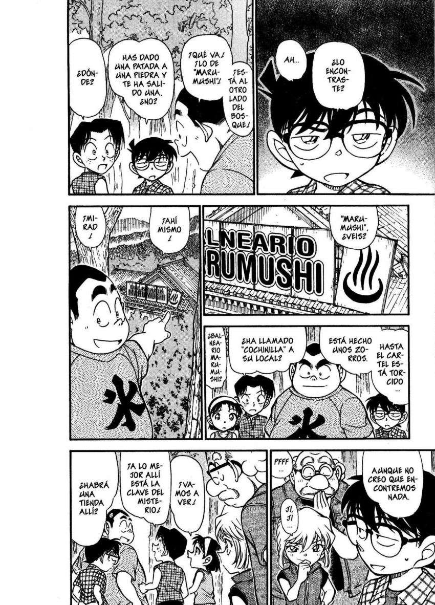 Detective Conan Capitulo 491: El código del verano página 13