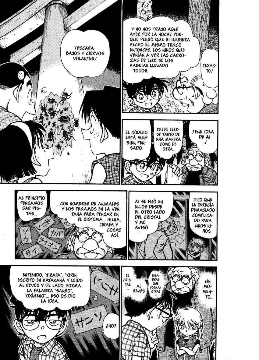 Detective Conan Capitulo 493: ¡¡Resolución perfecta!! página 10