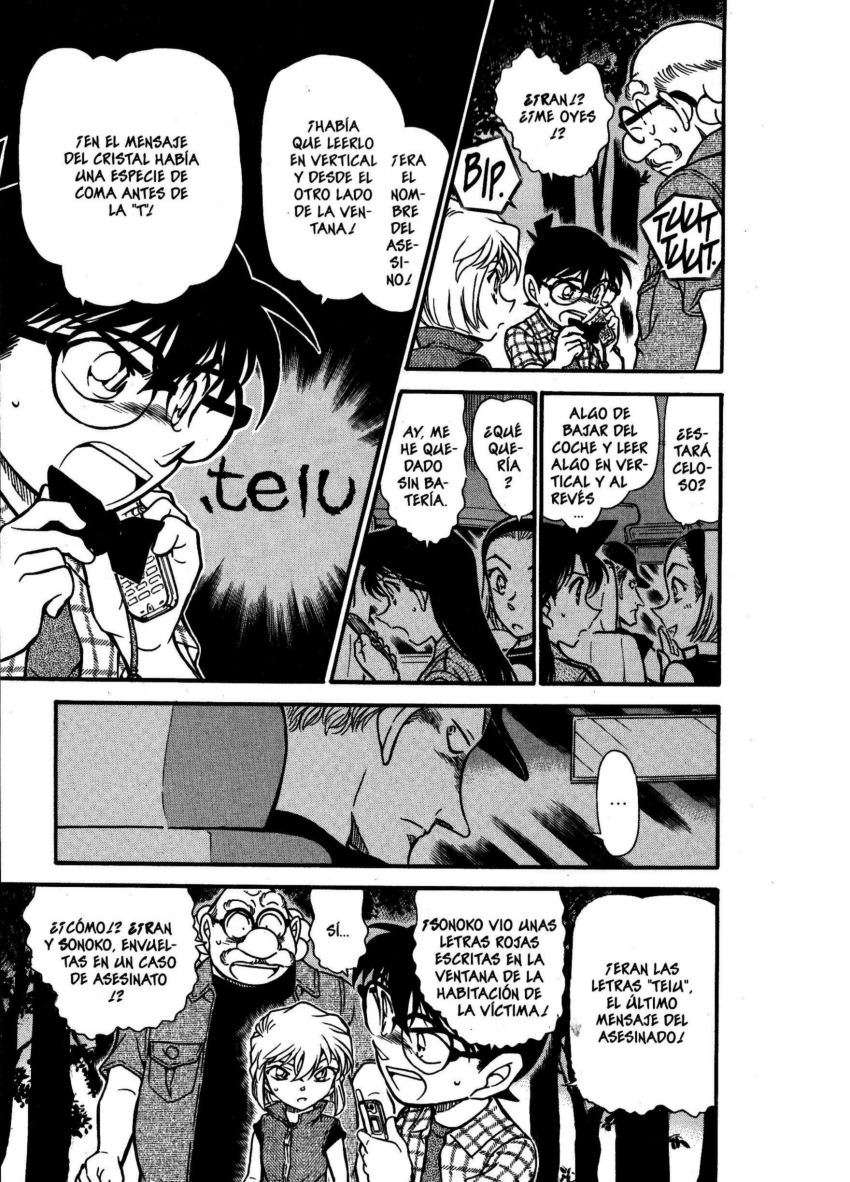 Detective Conan Capitulo 493: ¡¡Resolución perfecta!! página 12