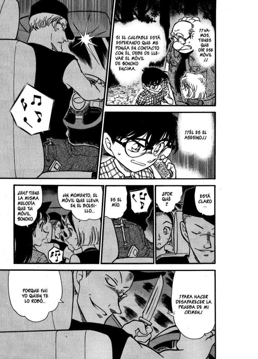 Detective Conan Capitulo 493: ¡¡Resolución perfecta!! página 16