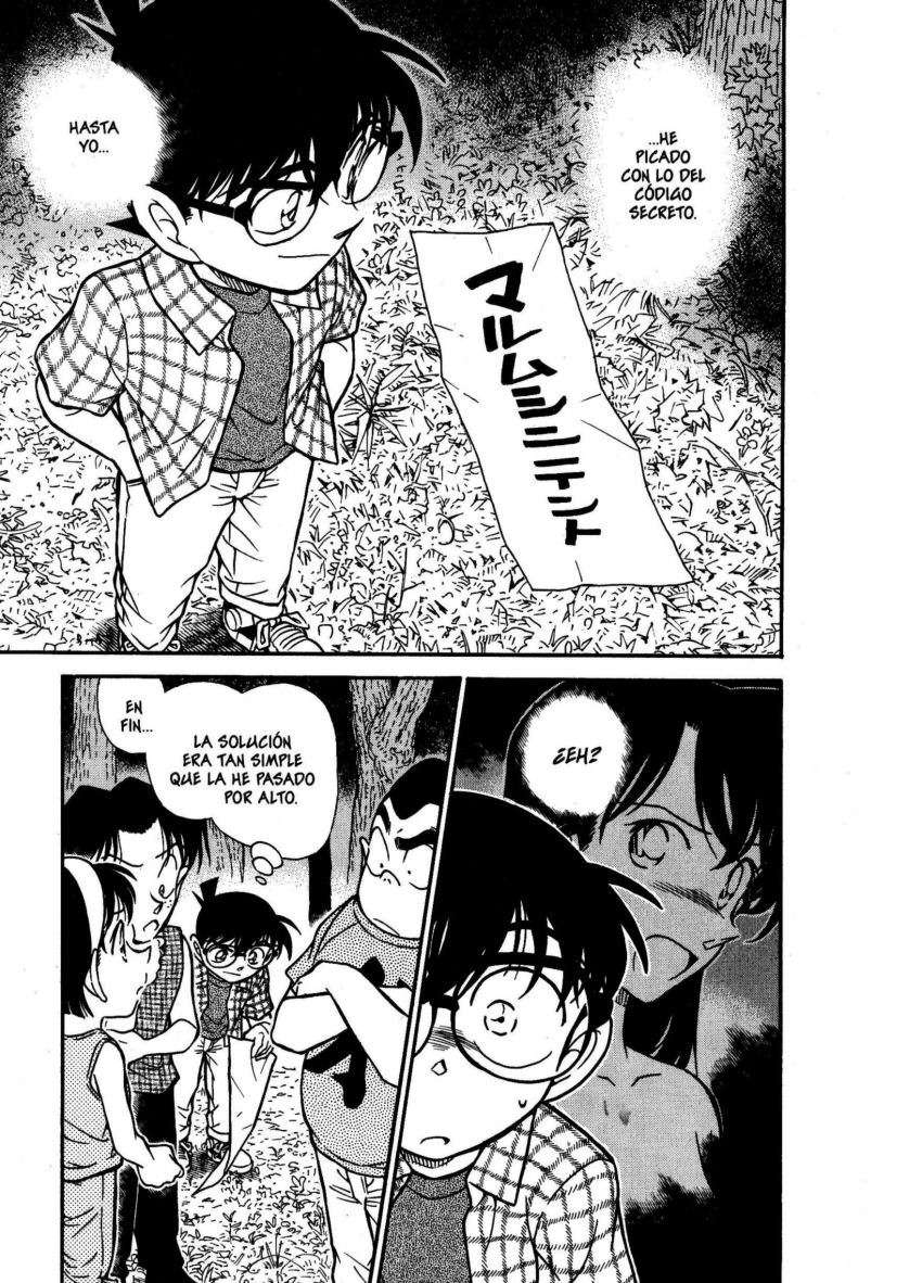 Detective Conan Capitulo 493: ¡¡Resolución perfecta!! página 2
