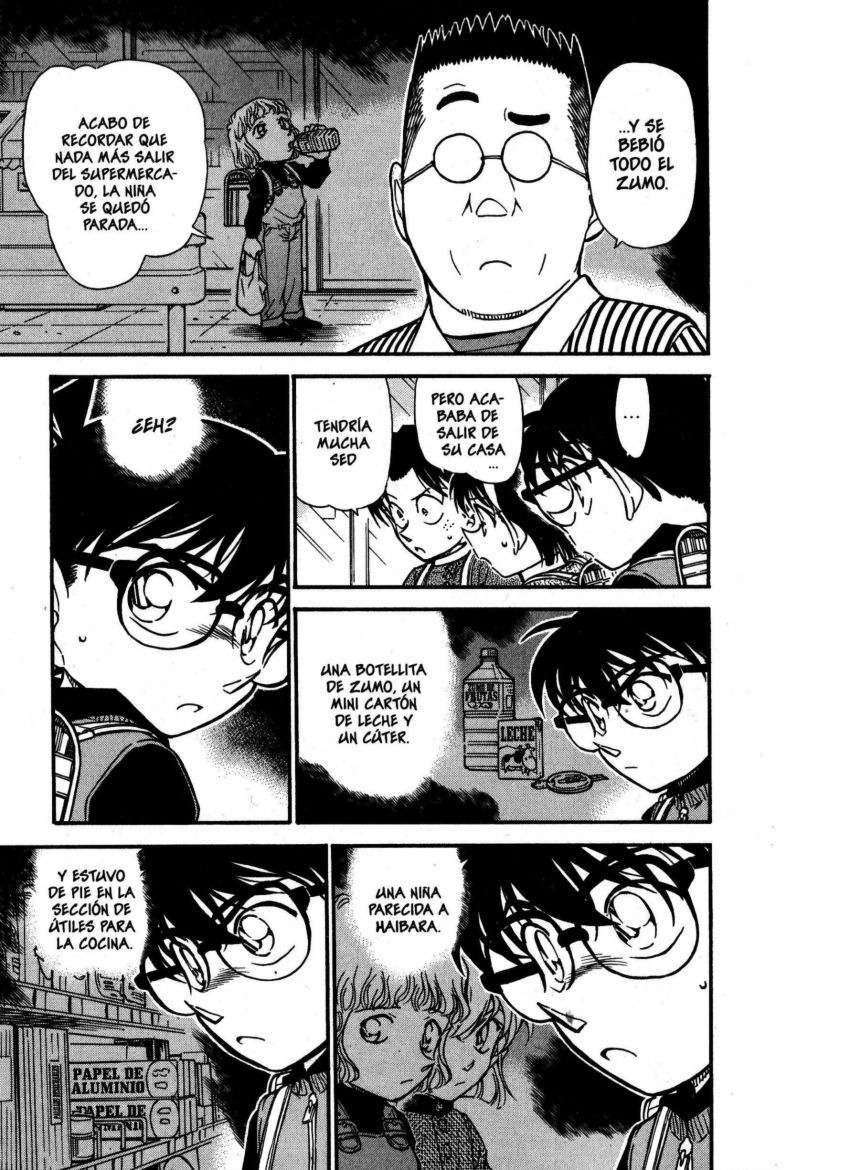 Detective Conan Capitulo 506: Secretos y escolaridad (1) página 14