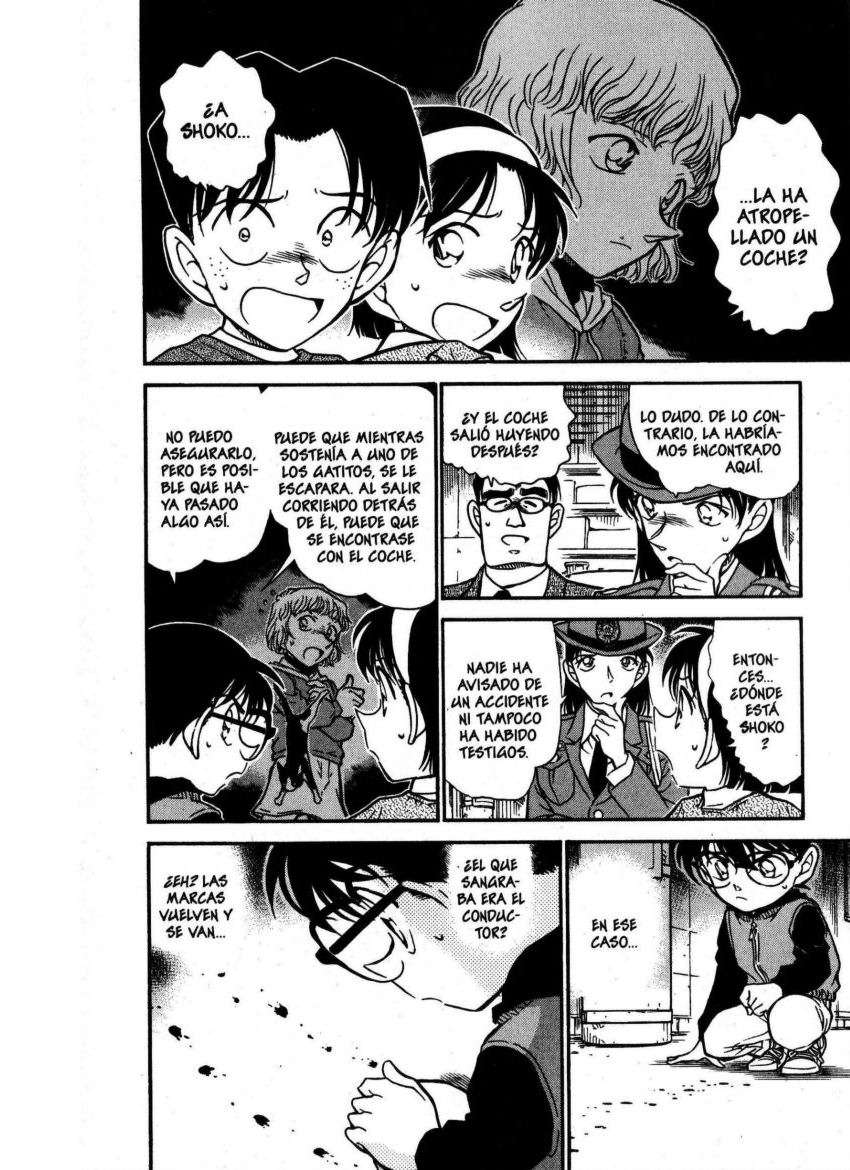Detective Conan Capitulo 507: Secretos y escolaridad (2) página 11