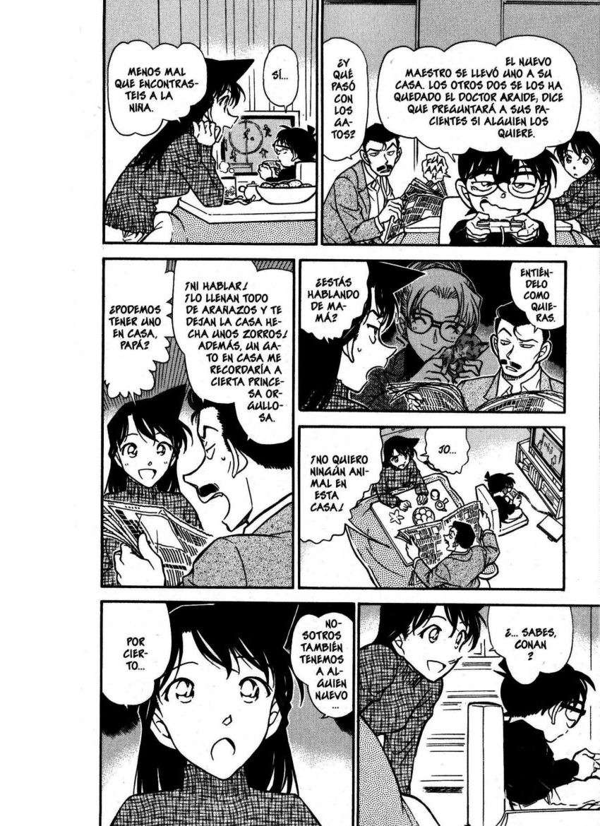 Detective Conan Capitulo 507: Secretos y escolaridad (2) página 17