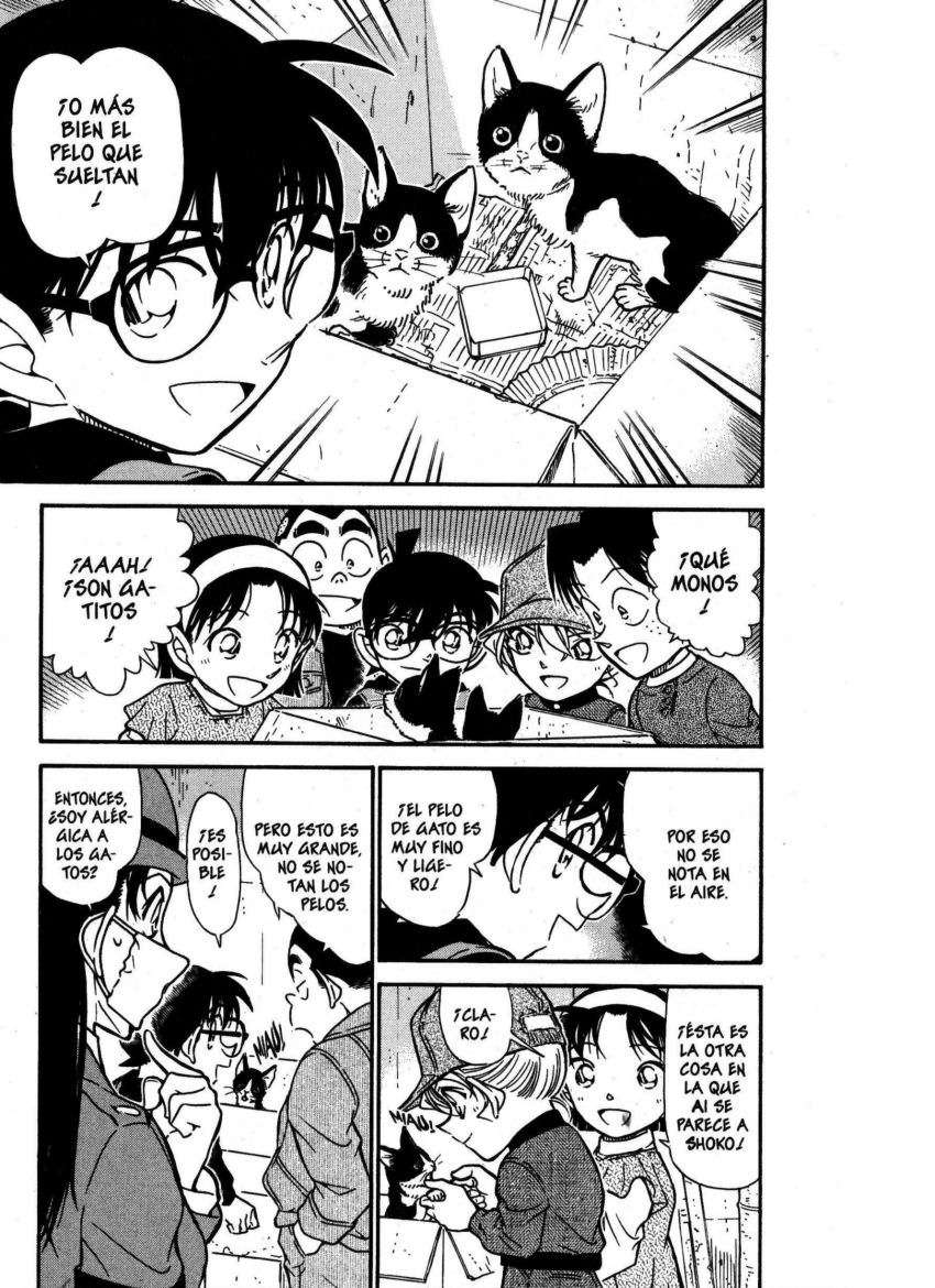 Detective Conan Capitulo 507: Secretos y escolaridad (2) página 6