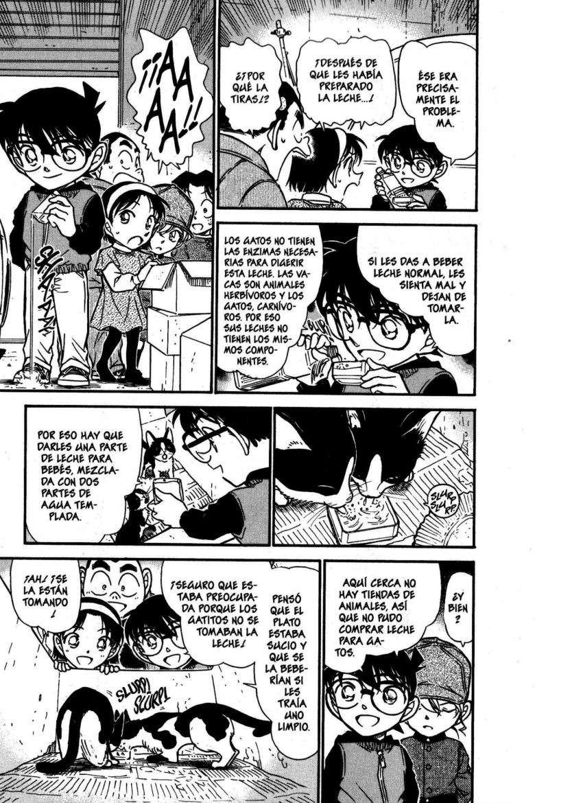 Detective Conan Capitulo 507: Secretos y escolaridad (2) página 8