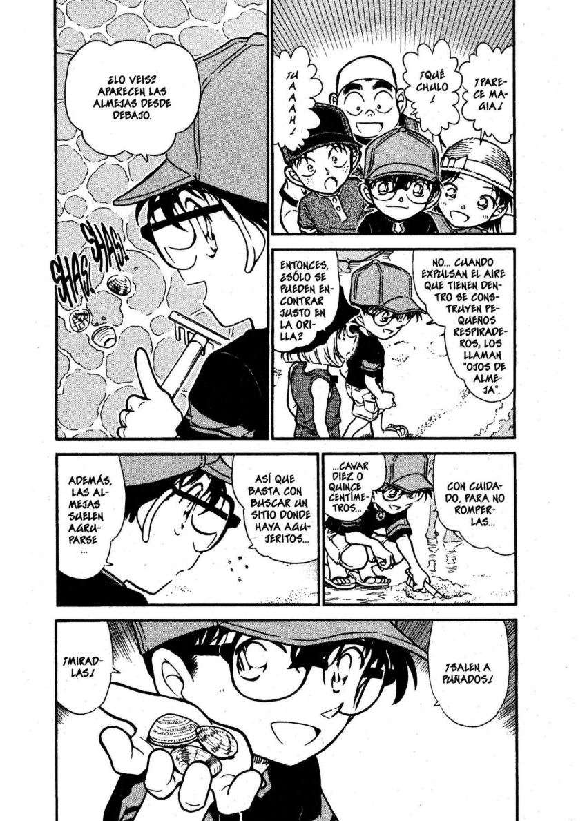Detective Conan Capitulo 525: El suspiro del marisqueo página 4