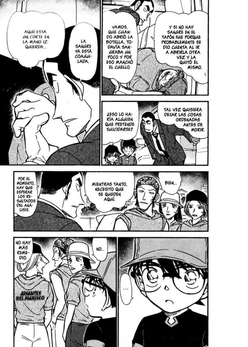 Detective Conan Capitulo 526 página 10