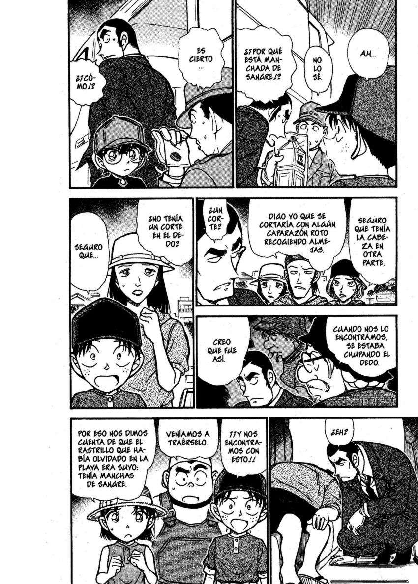 Detective Conan Capitulo 526 página 9
