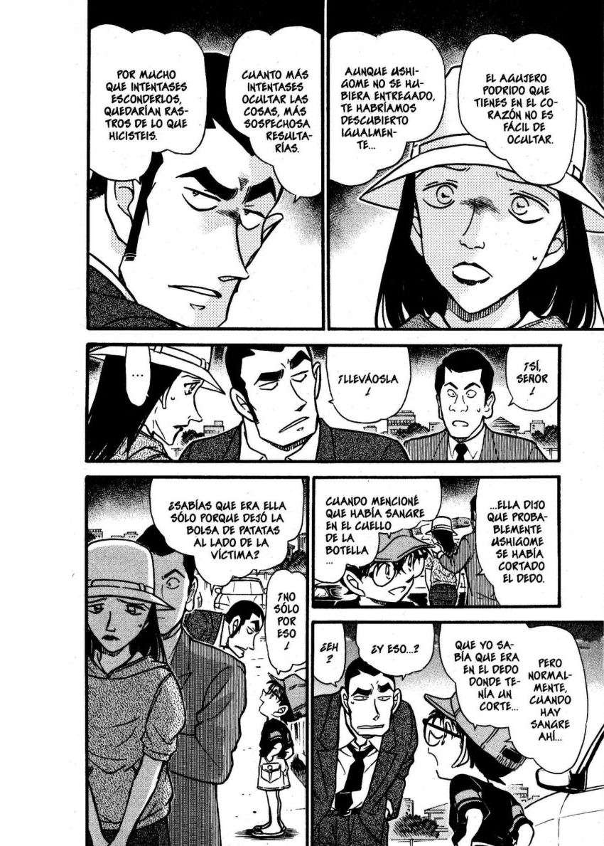 Detective Conan Capitulo 527: El truco de la mezcla página 17