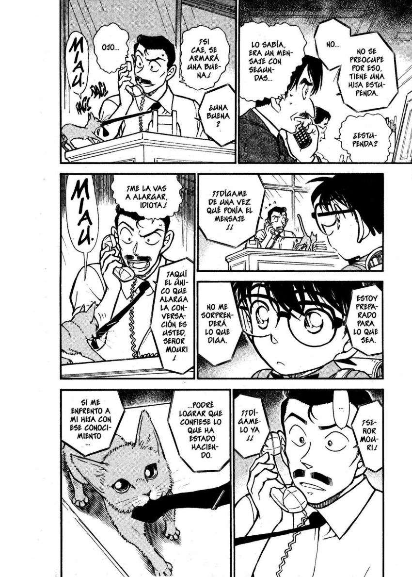 Detective Conan Capitulo 529: Goro es Goro página 13