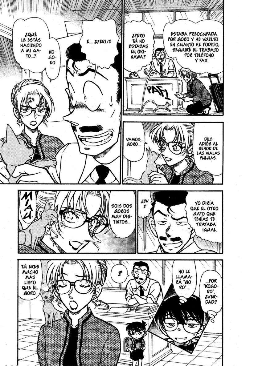 Detective Conan Capitulo 529: Goro es Goro página 16