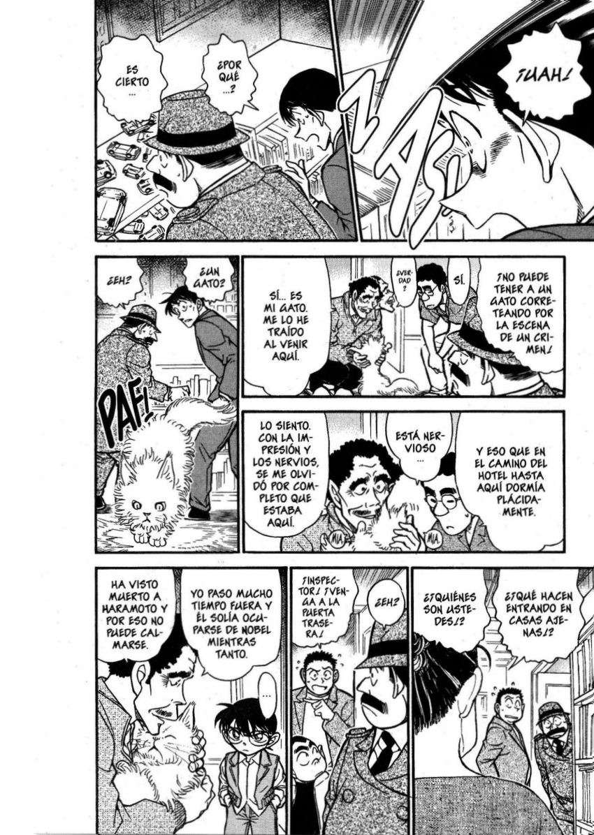 Detective Conan Capitulo 539: Un misterio invertido página 11