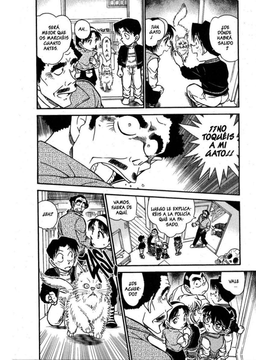 Detective Conan Capitulo 539: Un misterio invertido página 5