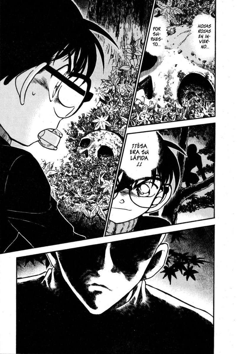 Detective Conan Capitulo 542: Un nombre a secas página 16