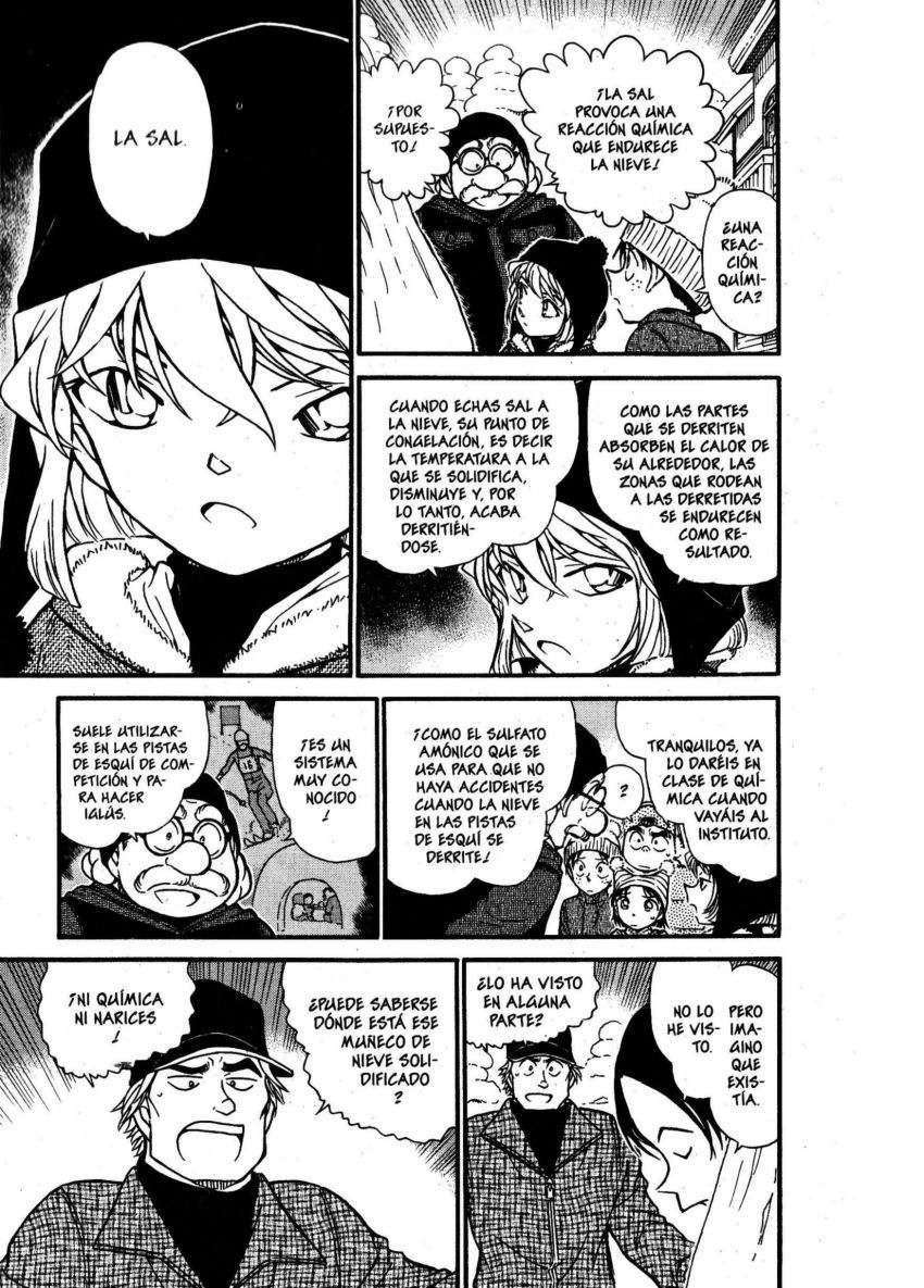 Detective Conan Capitulo 558: Tragedia en la montaña nevada página 10