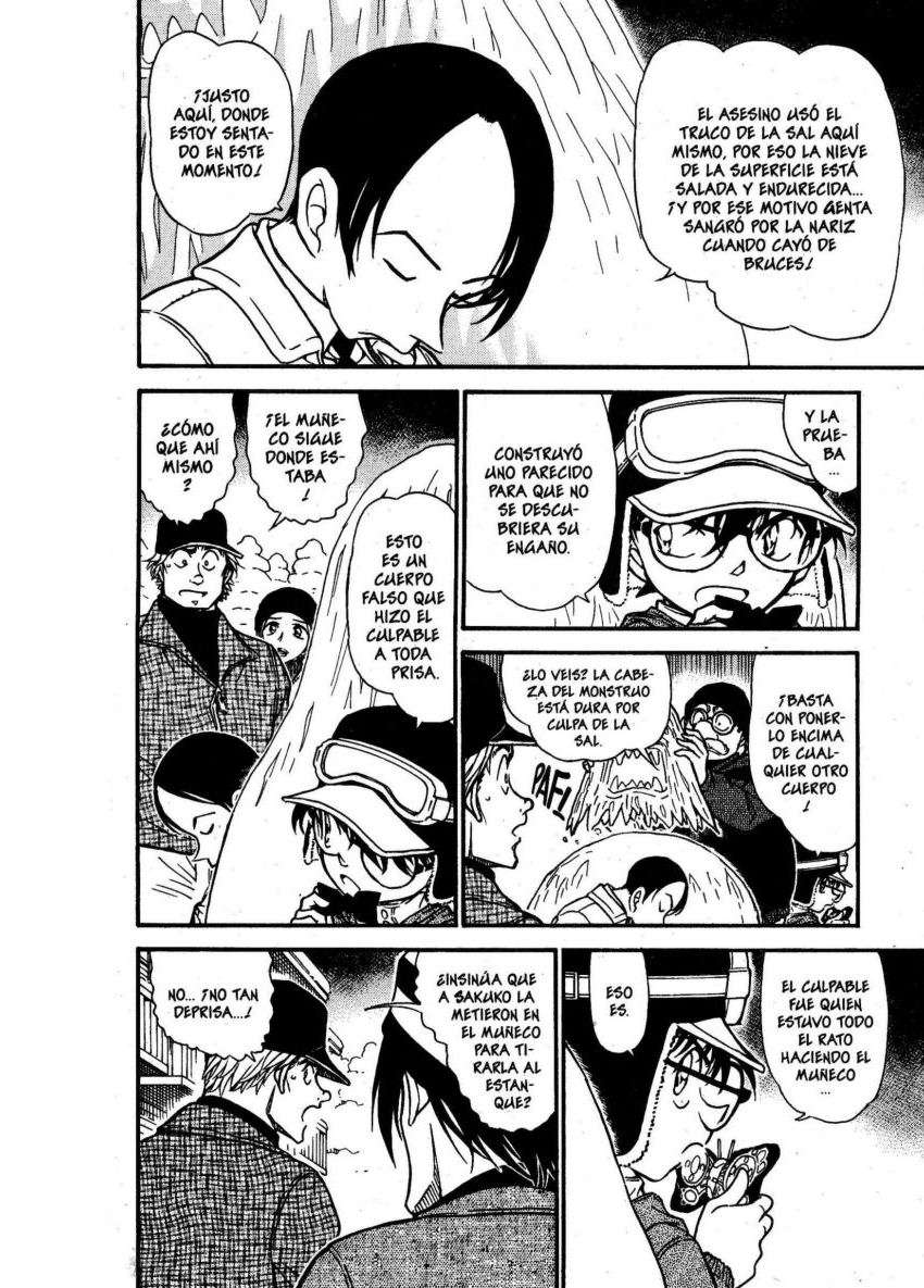 Detective Conan Capitulo 558: Tragedia en la montaña nevada página 11