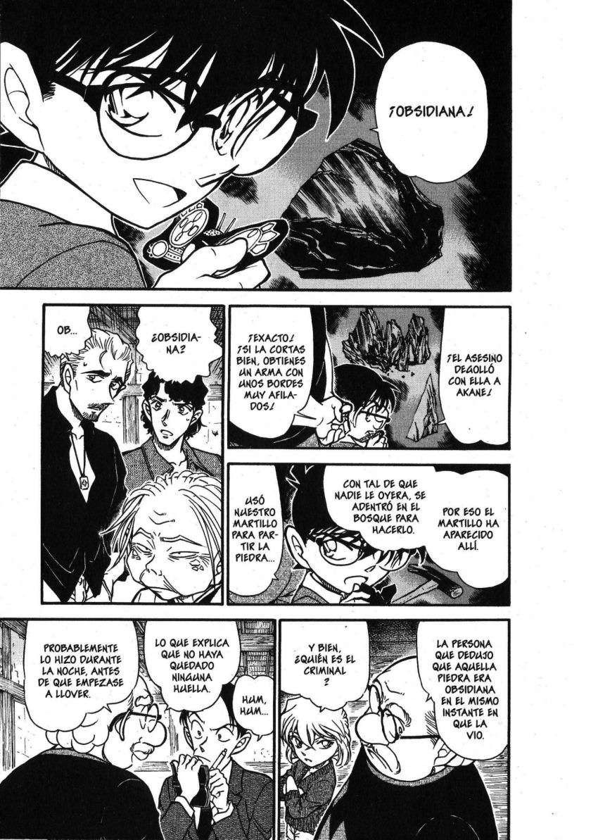Detective Conan Capitulo 581: El asesinato de la bruja (3) página 10