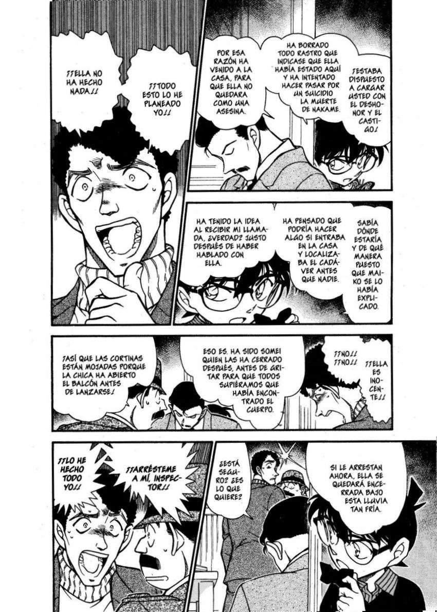 Detective Conan Capitulo 630: Una cruda verdad página 13
