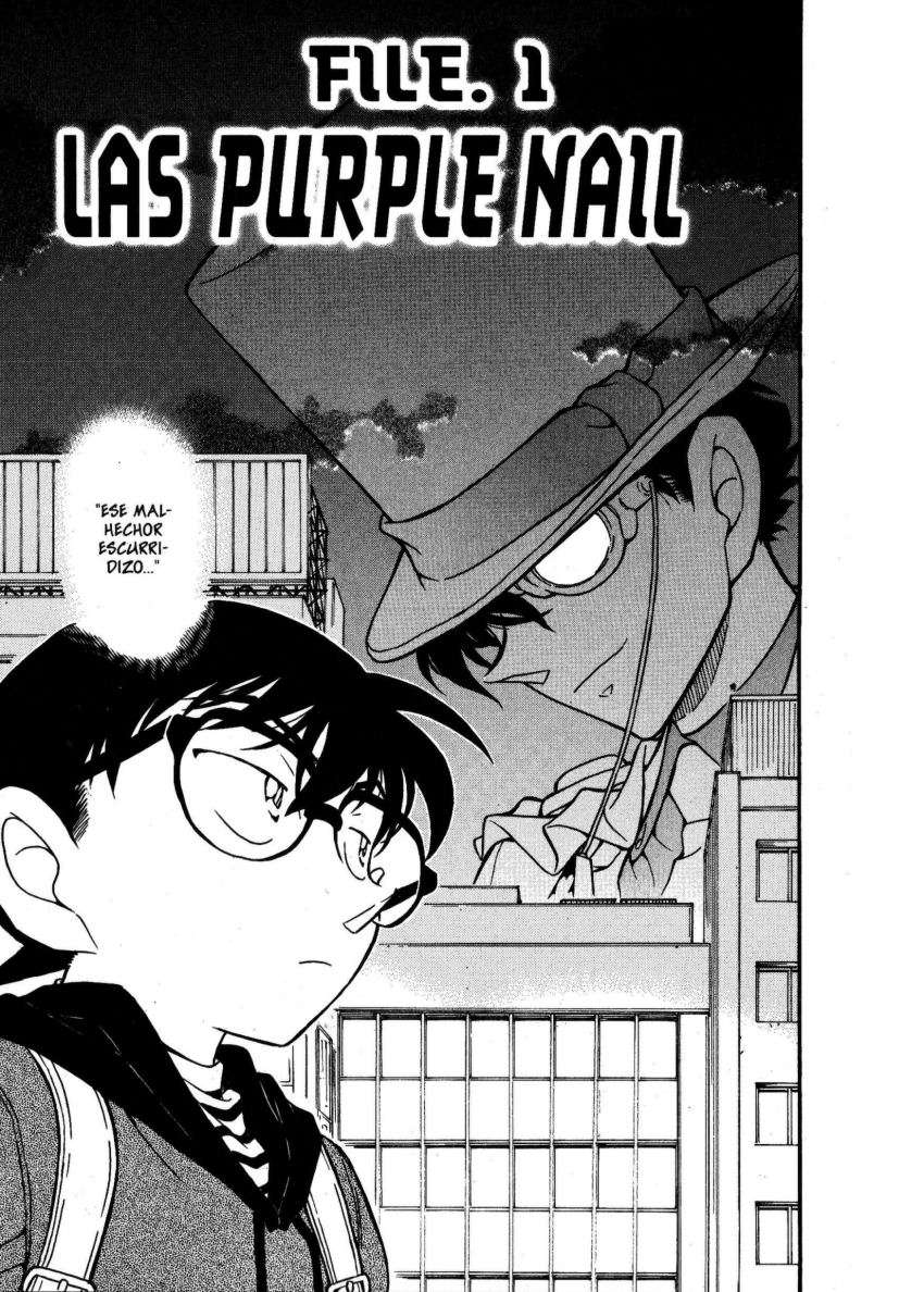 Detective Conan Capitulo 631: 631. Las “Purple Nail” página 2