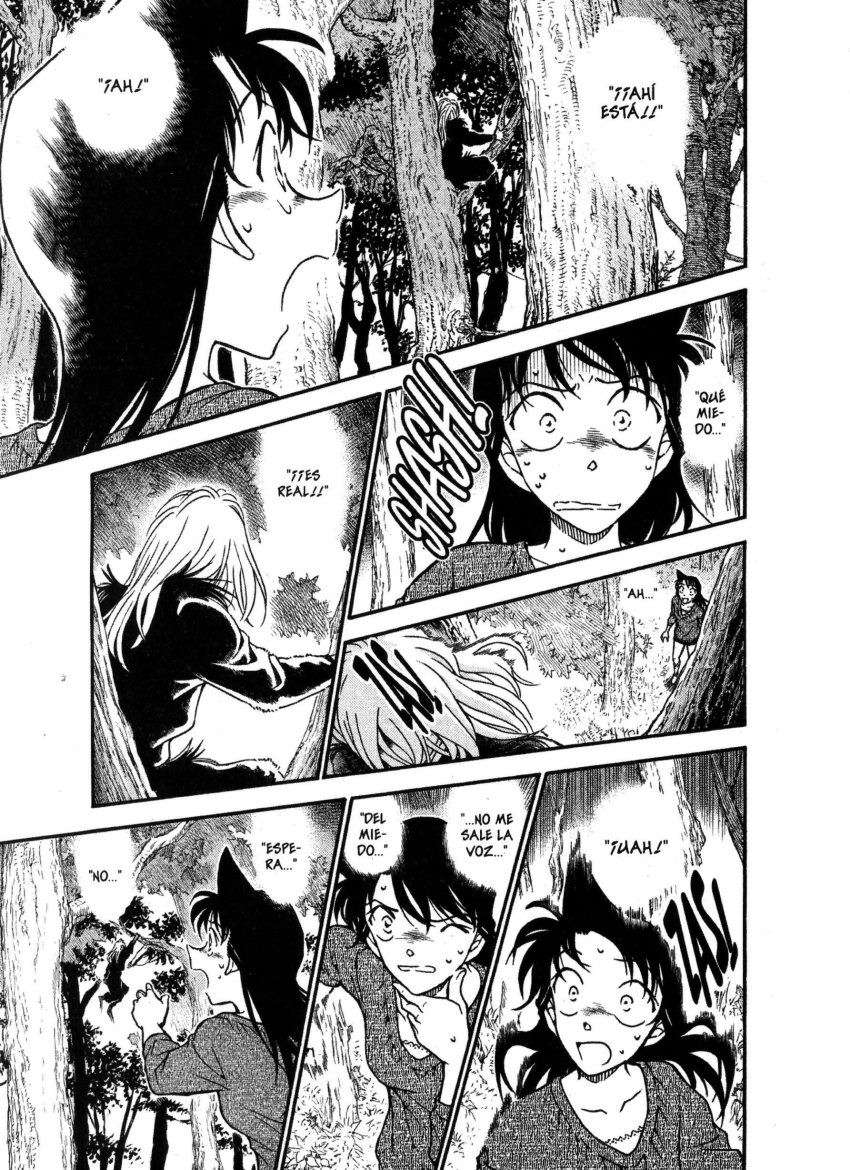 Detective Conan Capitulo 649: El espectro de la muerte página 14