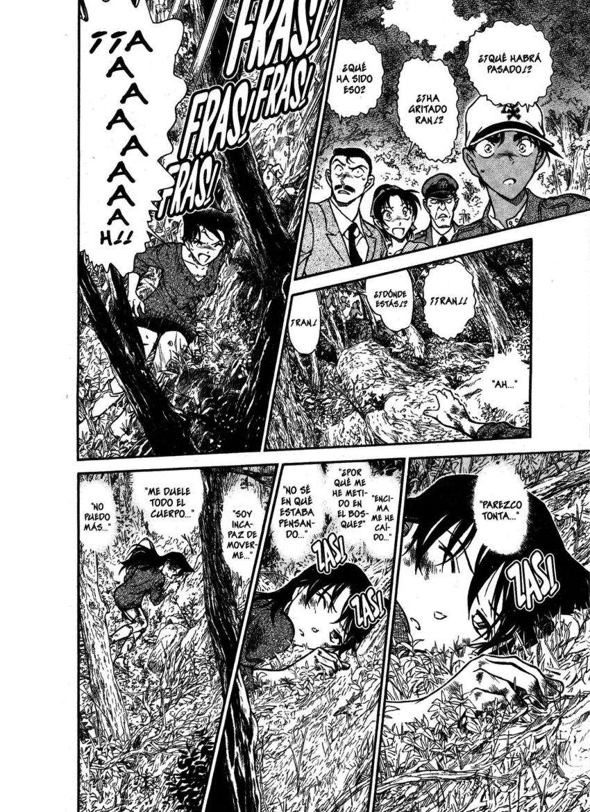 Detective Conan Capitulo 649: El espectro de la muerte página 15